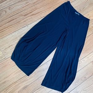 Alembika Punto Pants NWOT Size 2